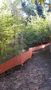 Tratto tecnico nel bosco